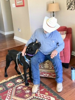 Our Mastiff pup Ripley is going to ride the trails with her Cowboy Dad