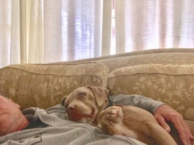 Vinny went from hanging out in a parking lot to hanging out on the couch with his new Dad