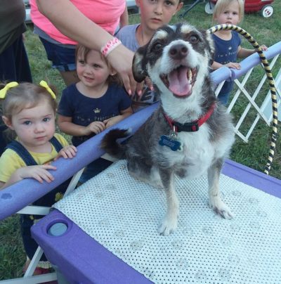 Is this a happy face or what? Glover found his calling with Dynamo Dogs - a famous dog performing act