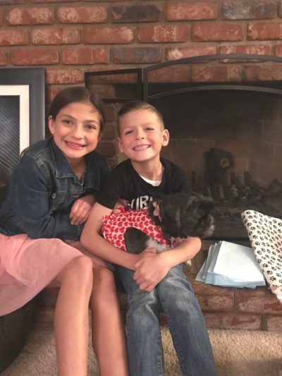 Our Shih Tzu Holly could not have found a happier ever after home. These kids were surprised when they came home from a Valentine's Day lunch to find her there