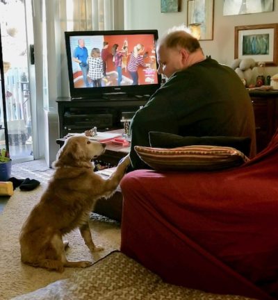 Michael and Thea didn't care that Bree was blind in one eye or that she was hard of hearing. For them, she was the perfect dog