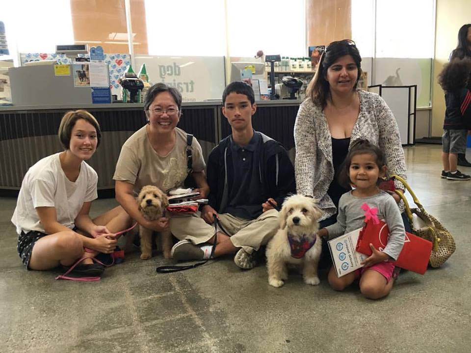 Biscuit and Cupcake were both adopted by doting families